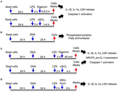 Docosahexaenoic Acid Suppresses Silica-Induced Inflammasome Activation and IL-1 Cytokine Release by Interfering With Priming Signal